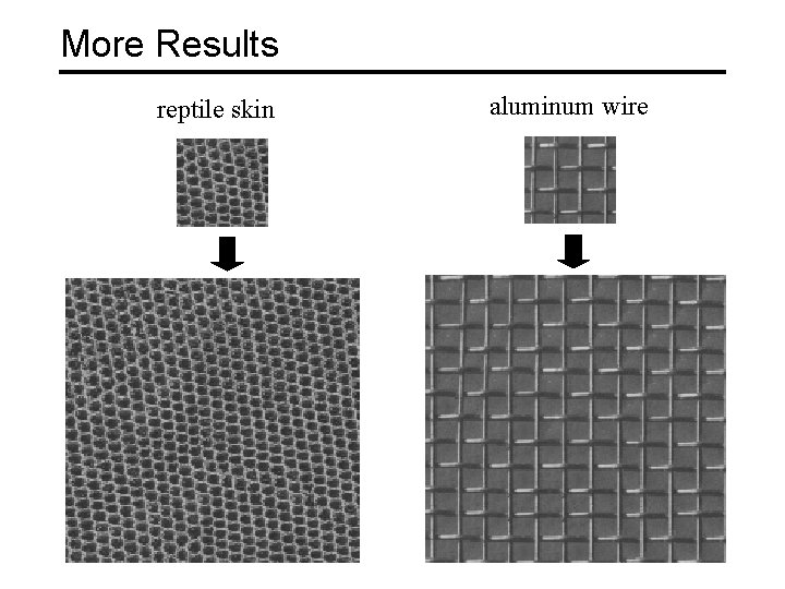 More Results reptile skin aluminum wire 