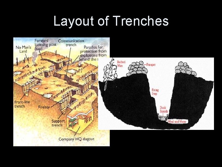 Layout of Trenches 