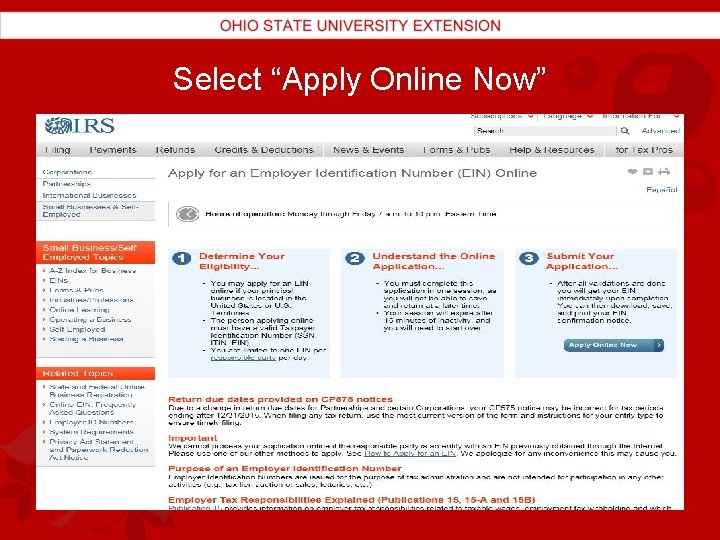 Select “Apply Online Now” 