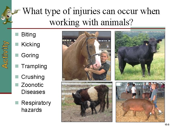 What type of injuries can occur when working with animals? Activity n Biting n