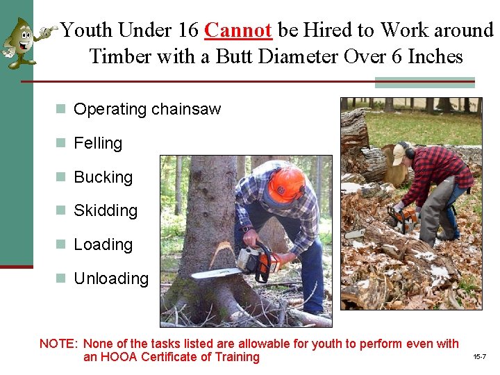 Youth Under 16 Cannot be Hired to Work around Timber with a Butt Diameter