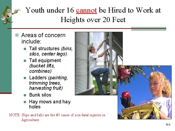 Youth under 16 cannot be Hired to Work at Heights over 20 Feet n