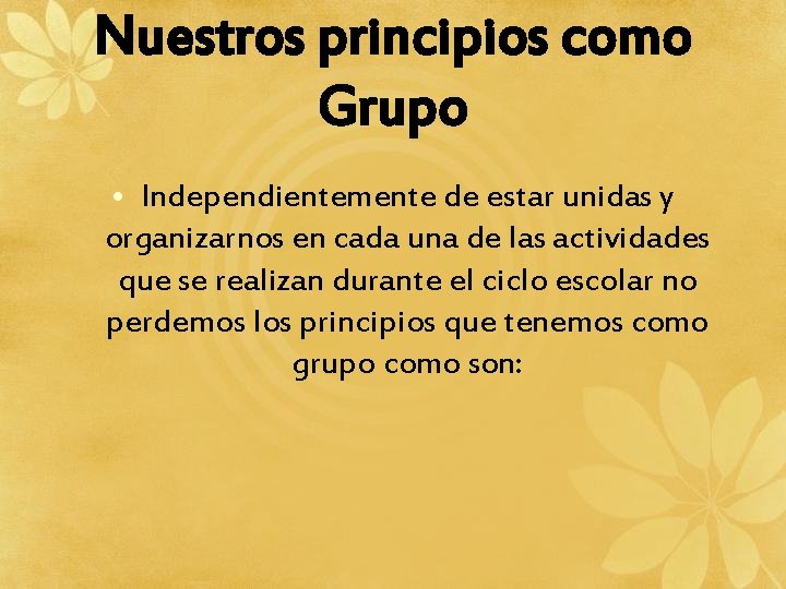 Nuestros principios como Grupo • Independientemente de estar unidas y organizarnos en cada una