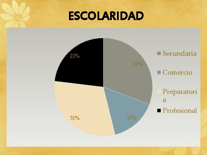 ESCOLARIDAD Secundaria 23% 31% Comercio Preparatori a 31% 15% Profesional 