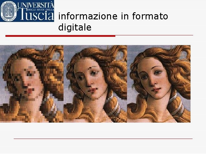 informazione in formato digitale 