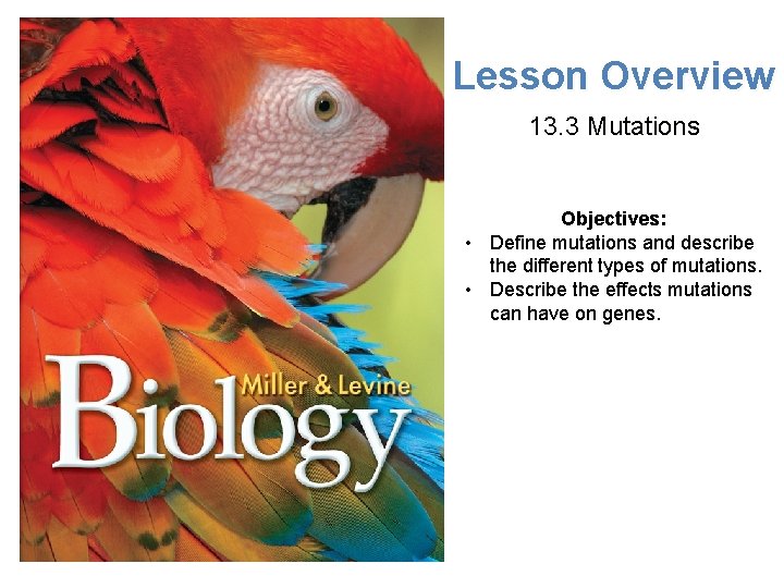 Lesson Overview Mutations Lesson Overview 13. 3 Mutations Objectives: • Define mutations and describe