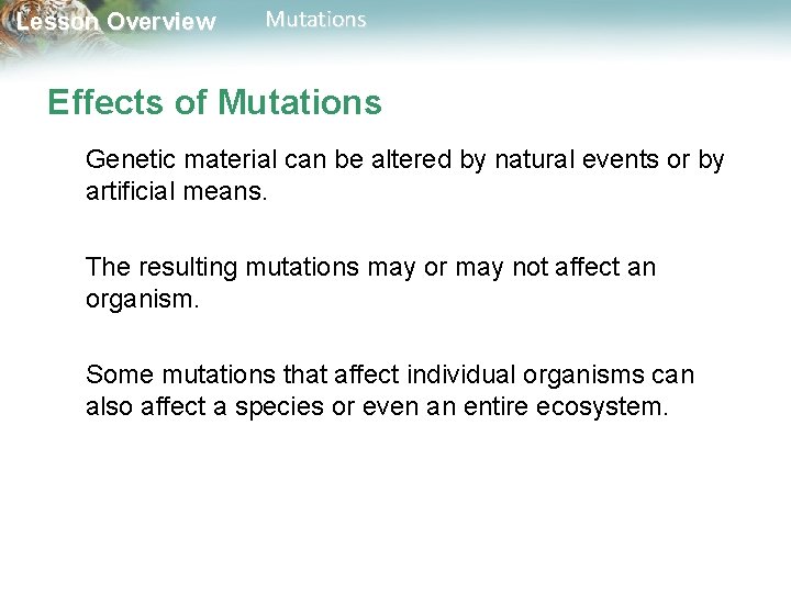 Lesson Overview Mutations Effects of Mutations Genetic material can be altered by natural events