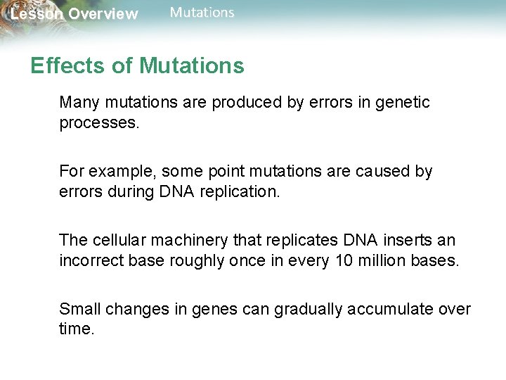 Lesson Overview Mutations Effects of Mutations Many mutations are produced by errors in genetic