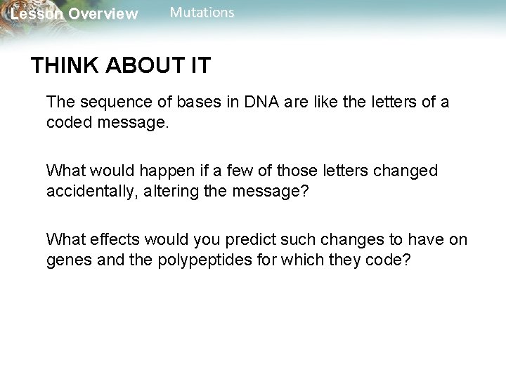 Lesson Overview Mutations THINK ABOUT IT The sequence of bases in DNA are like