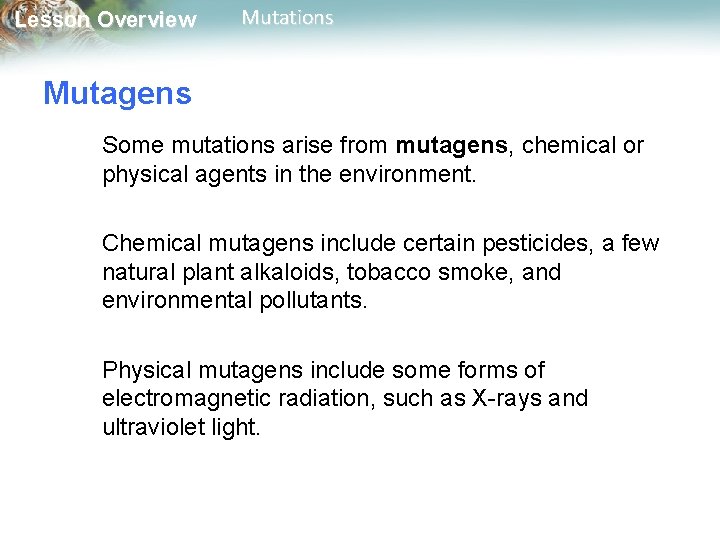 Lesson Overview Mutations Mutagens Some mutations arise from mutagens, chemical or physical agents in
