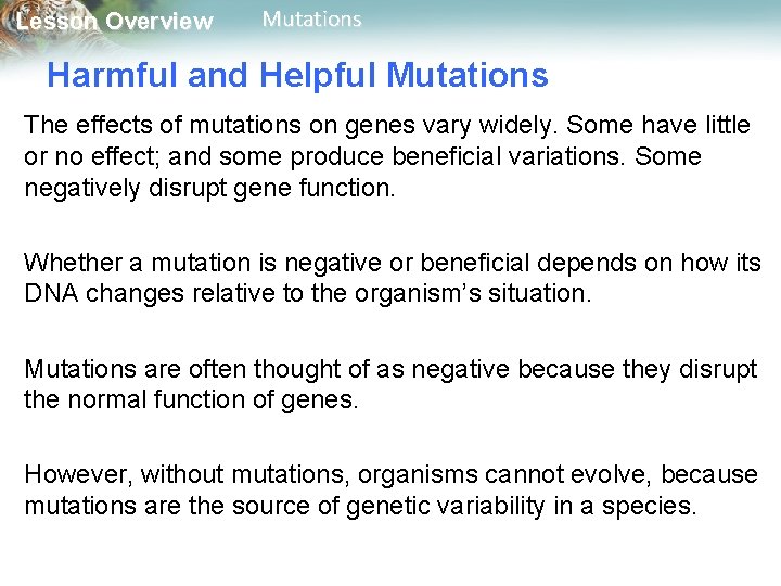 Lesson Overview Mutations Harmful and Helpful Mutations The effects of mutations on genes vary