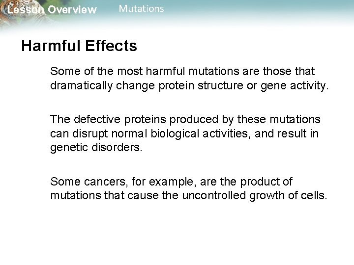 Lesson Overview Mutations Harmful Effects Some of the most harmful mutations are those that