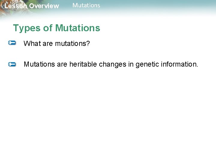 Lesson Overview Mutations Types of Mutations What are mutations? Mutations are heritable changes in