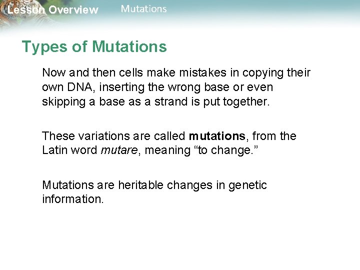 Lesson Overview Mutations Types of Mutations Now and then cells make mistakes in copying