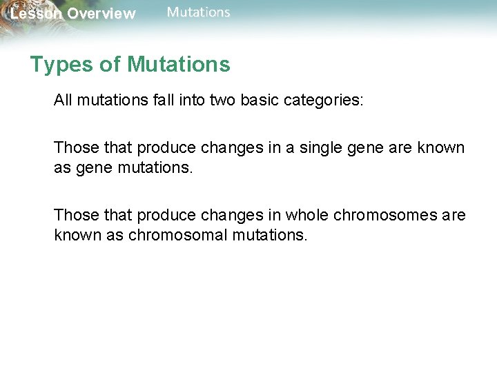 Lesson Overview Mutations Types of Mutations All mutations fall into two basic categories: Those