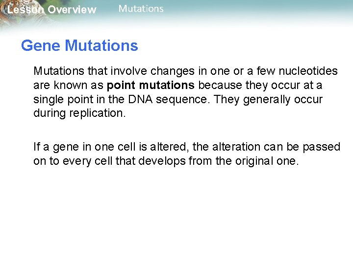 Lesson Overview Mutations Gene Mutations that involve changes in one or a few nucleotides