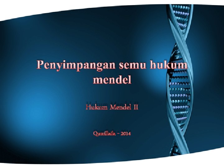 Penyimpangan semu hukum mendel Hukum Mendel II Qumillaila - 2014 