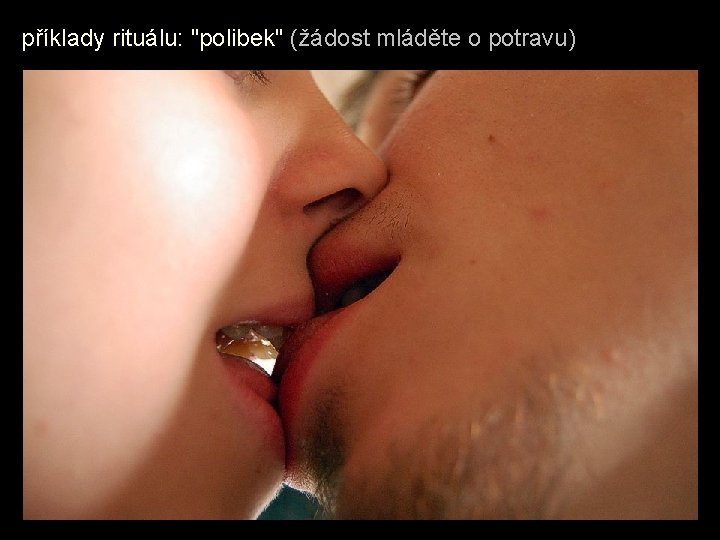 příklady rituálu: "polibek" (žádost mláděte o potravu) 