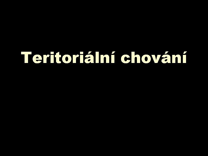 Teritoriální chování 