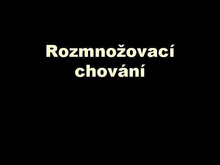 Rozmnožovací chování 