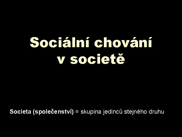 Sociální chování v societě Societa (společenství) = skupina jedinců stejného druhu 