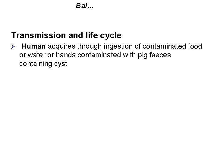 Bal… Transmission and life cycle Ø Human acquires through ingestion of contaminated food or