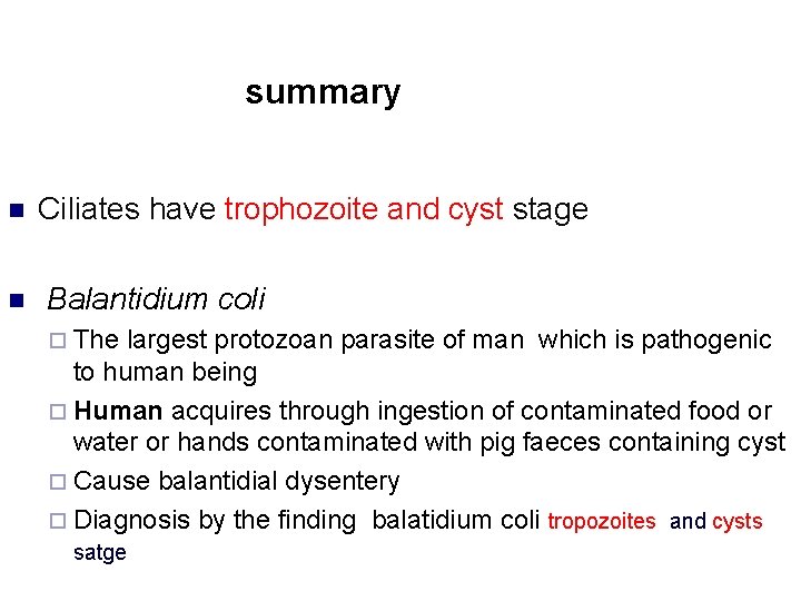 summary n n Ciliates have trophozoite and cyst stage Balantidium coli ¨ The largest
