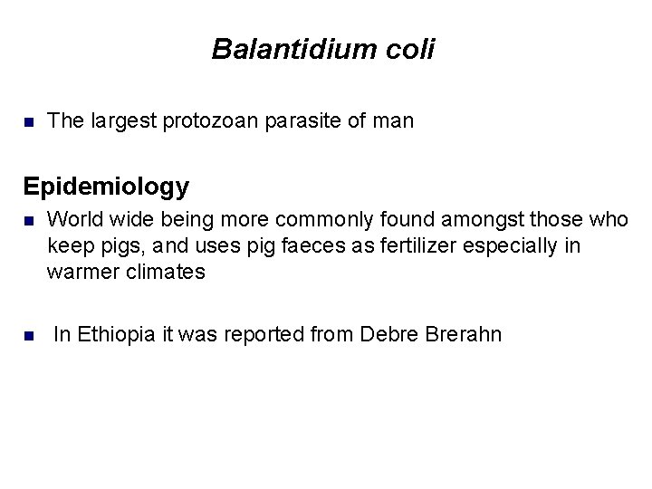 Balantidium coli n The largest protozoan parasite of man Epidemiology n n World wide