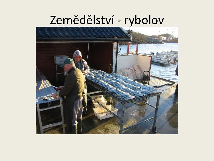 Zemědělství - rybolov 