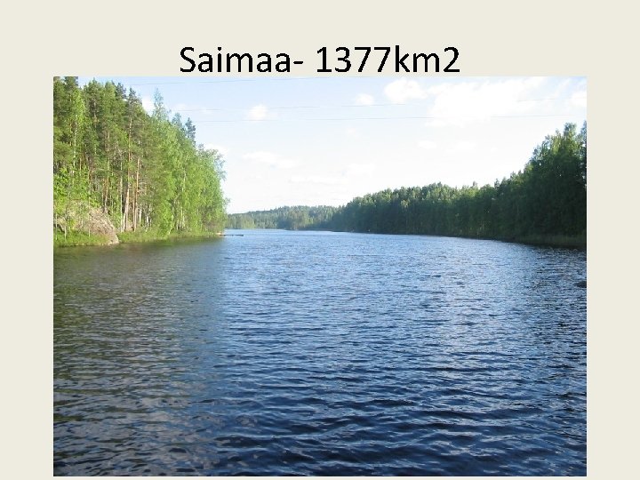 Saimaa- 1377 km 2 