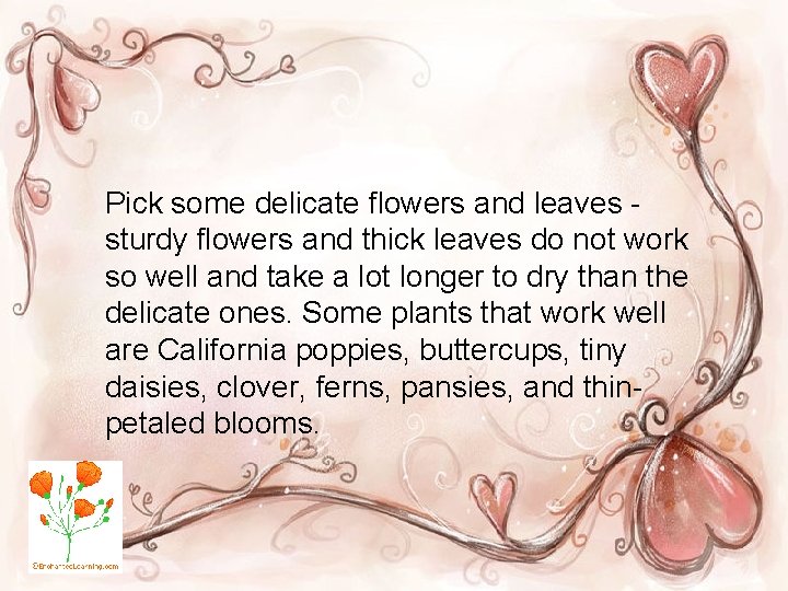 Pick some delicate flowers and leaves sturdy flowers and thick leaves do not work