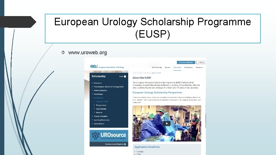 European Urology Scholarship Programme (EUSP) www. uroweb. org 