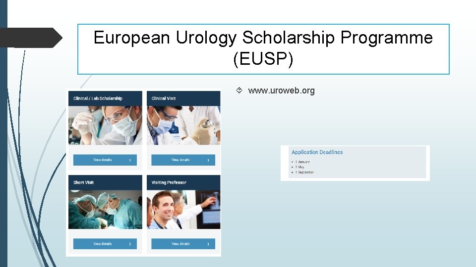 European Urology Scholarship Programme (EUSP) www. uroweb. org 