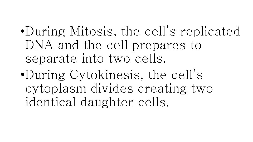  • During Mitosis, the cell’s replicated DNA and the cell prepares to separate