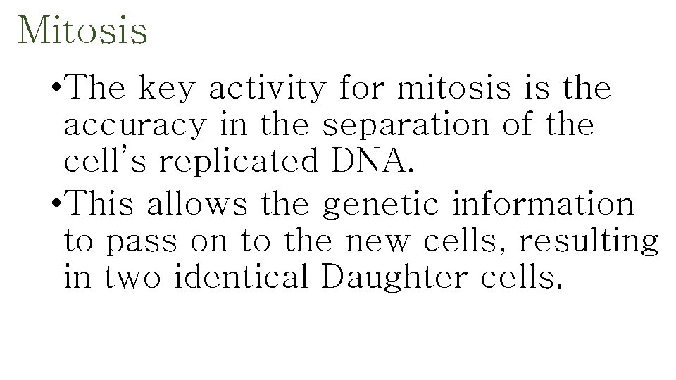 Mitosis • The key activity for mitosis is the accuracy in the separation of