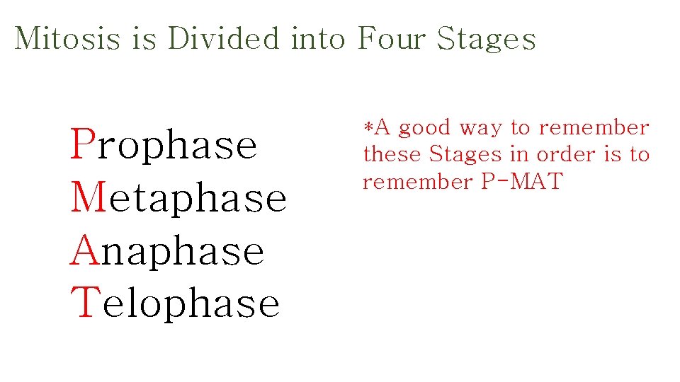 Mitosis is Divided into Four Stages Prophase Metaphase Anaphase Telophase *A good way to
