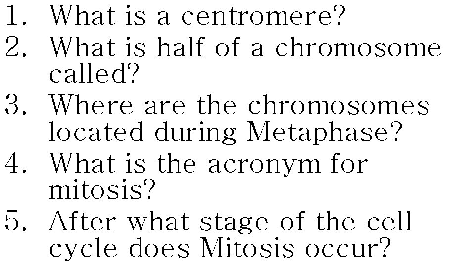 1. What is a centromere? 2. What is half of a chromosome called? 3.
