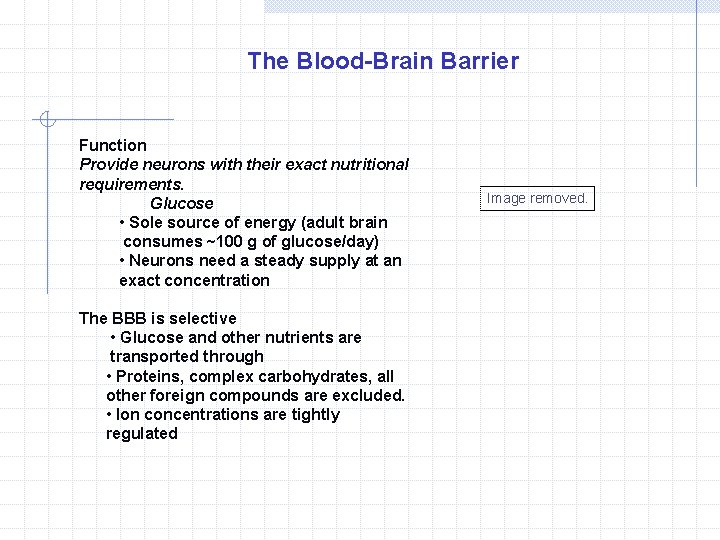 The Blood-Brain Barrier Function Provide neurons with their exact nutritional requirements. Glucose • Sole