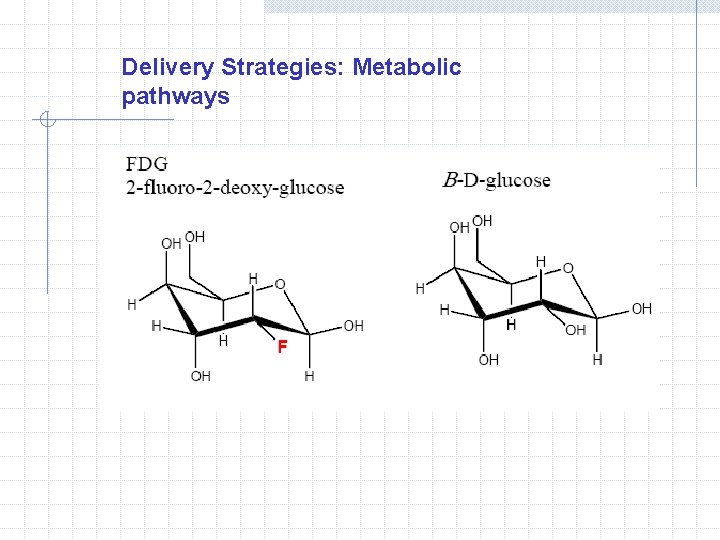 Delivery Strategies: Metabolic pathways 