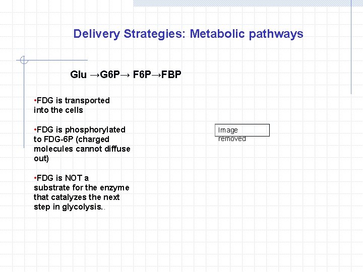 Delivery Strategies: Metabolic pathways Glu →G 6 P→ F 6 P→FBP • FDG is