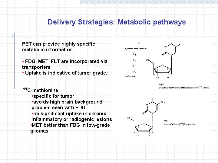 Delivery Strategies: Metabolic pathways PET can provide highly specific metabolic information. • FDG, MET,