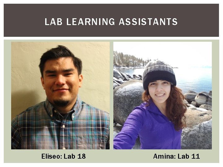 LAB LEARNING ASSISTANTS Eliseo: Lab 18 Amina: Lab 11 