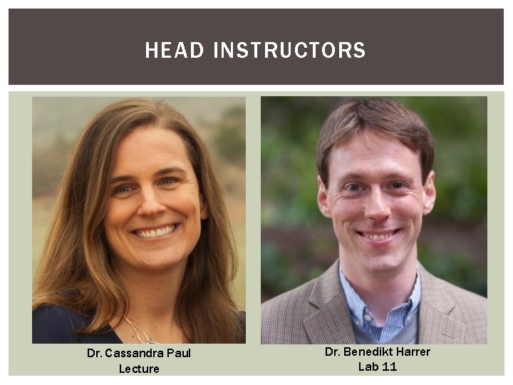 HEAD INSTRUCTORS Dr. Cassandra Paul Lecture Dr. Benedikt Harrer Lab 11 