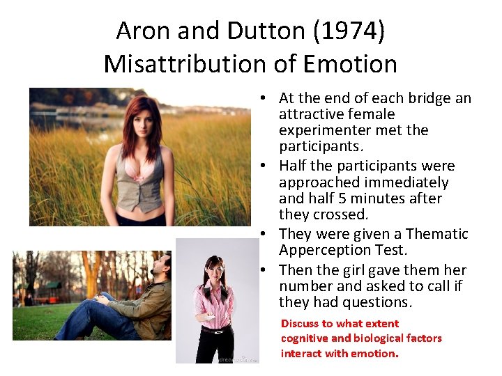 Aron and Dutton (1974) Misattribution of Emotion • At the end of each bridge