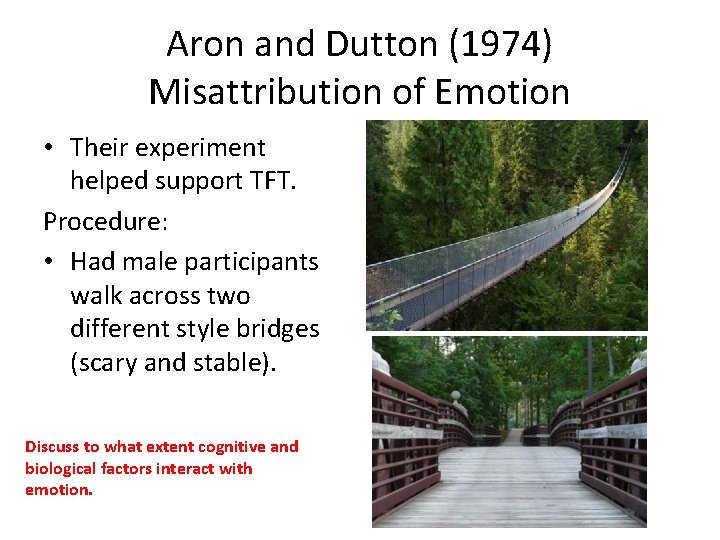 Aron and Dutton (1974) Misattribution of Emotion • Their experiment helped support TFT. Procedure: