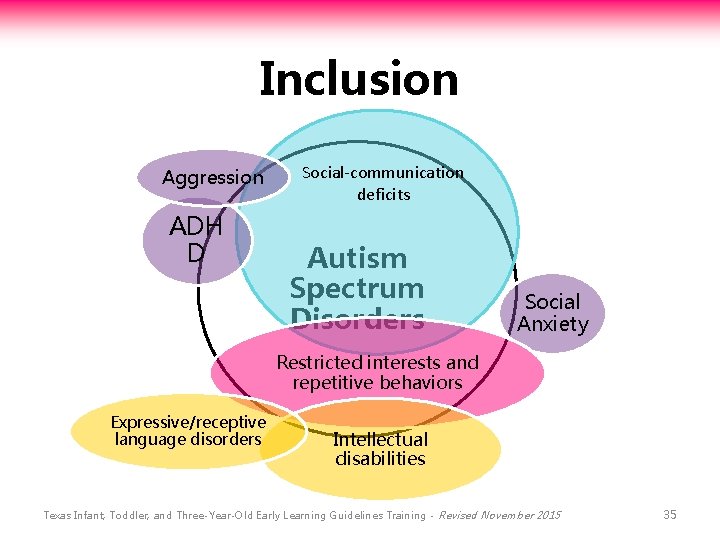 Inclusion Aggression ADH D Social-communication deficits Autism Spectrum Disorders Social Anxiety Restricted interests and