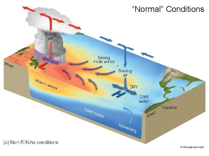 “Normal” Conditions 