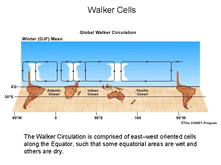 Walker Cells The Walker Circulation is comprised of east–west oriented cells along the Equator,