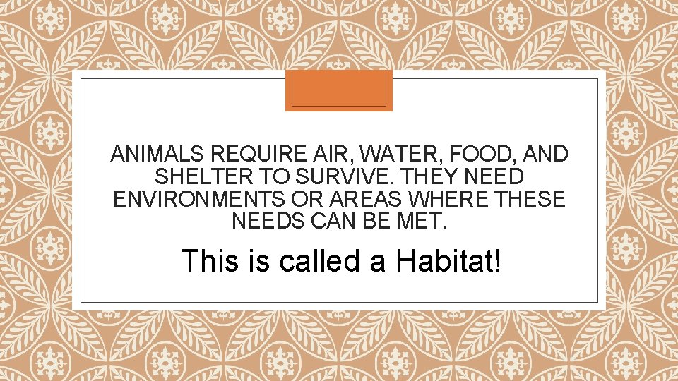 ANIMALS REQUIRE AIR, WATER, FOOD, AND SHELTER TO SURVIVE. THEY NEED ENVIRONMENTS OR AREAS