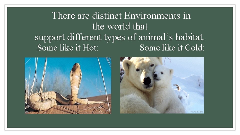 There are distinct Environments in the world that support different types of animal’s habitat.